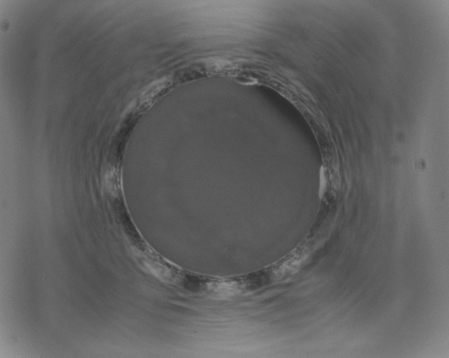 X0000071790419200607211627