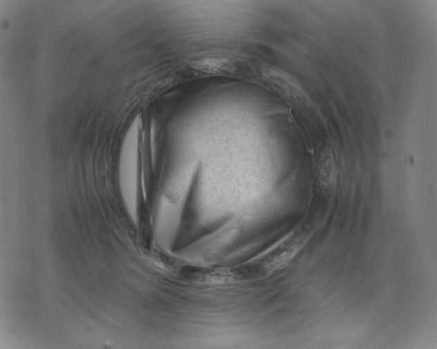 X0000071790420200607211627