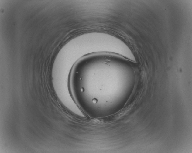 X0000071790421200607211627