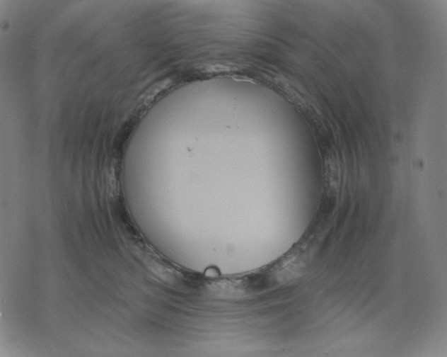 X0000071790422200607211627