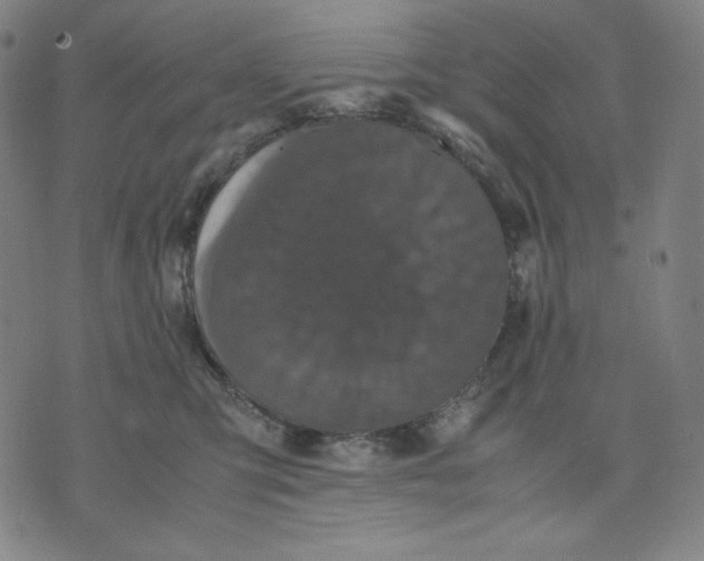 X0000071790423200607211627