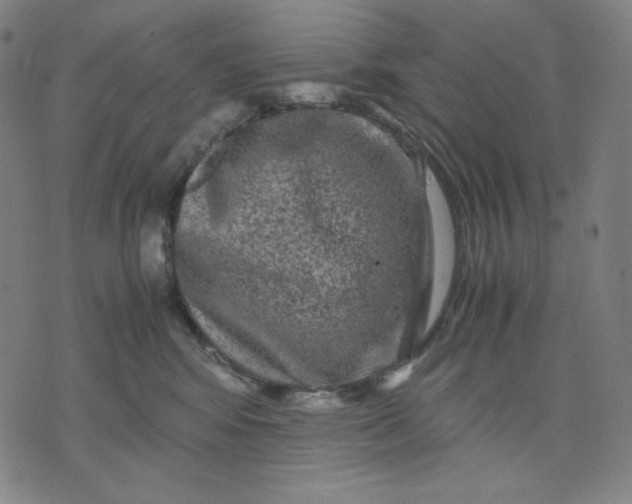 X0000071790424200607211627