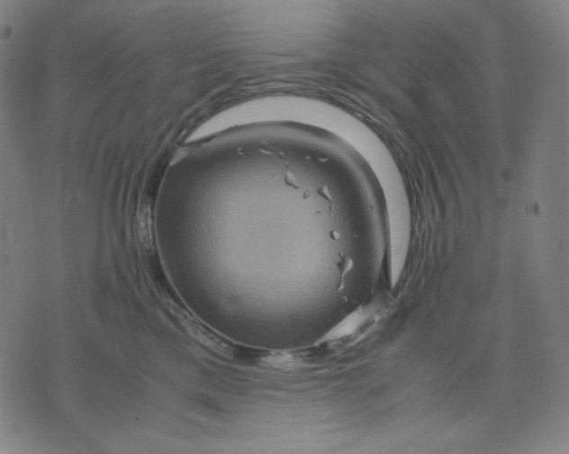 X0000071790425200607211627