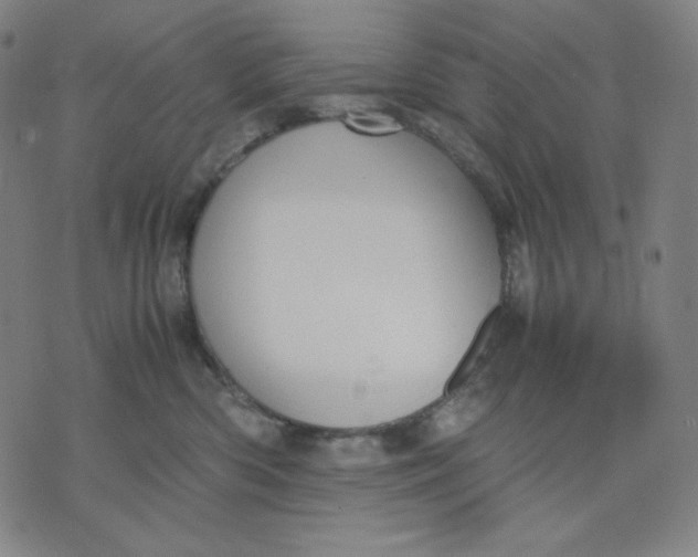 X0000071790426200607211627