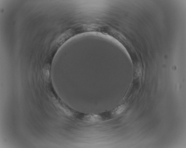 X0000071790427200607211627