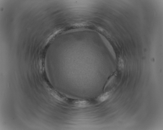 X0000071790428200607211627