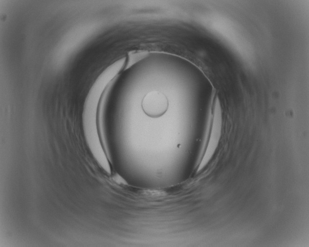 X0000071790429200607211627