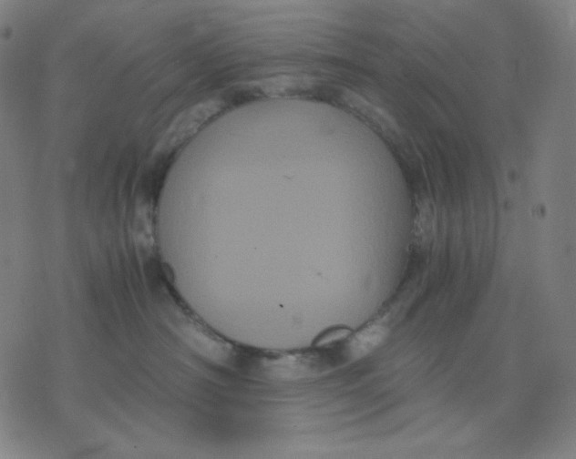 X0000071790430200607211627