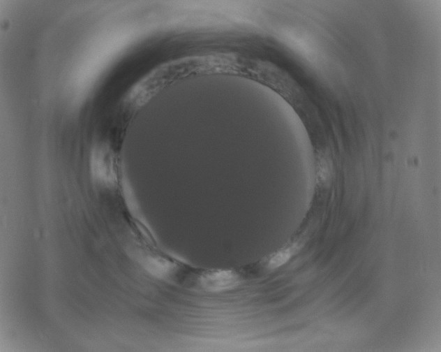 X0000071790431200607211627