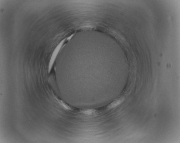 X0000071790432200607211627