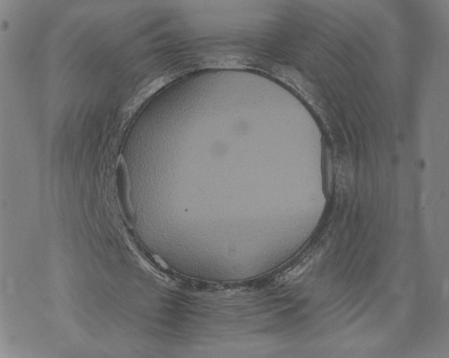 X0000071790433200607211626