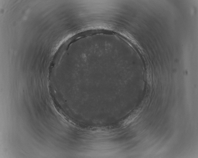 X0000071790434200607211626