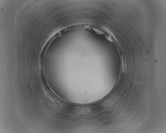 X0000071790435200607211626