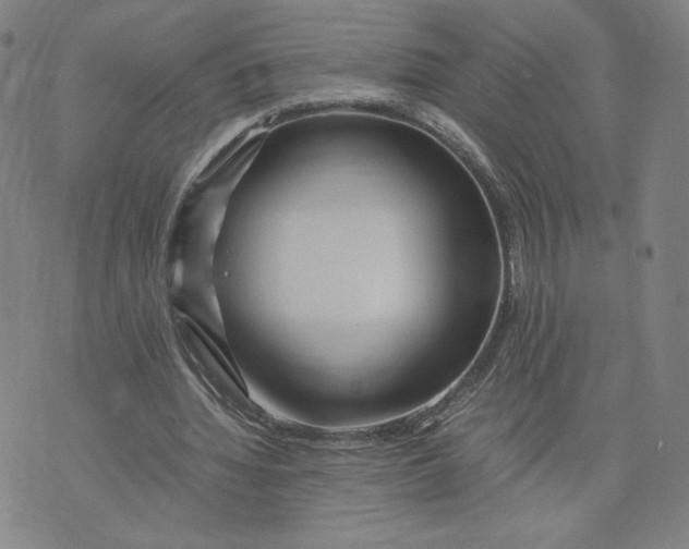 X0000071790436200607211626