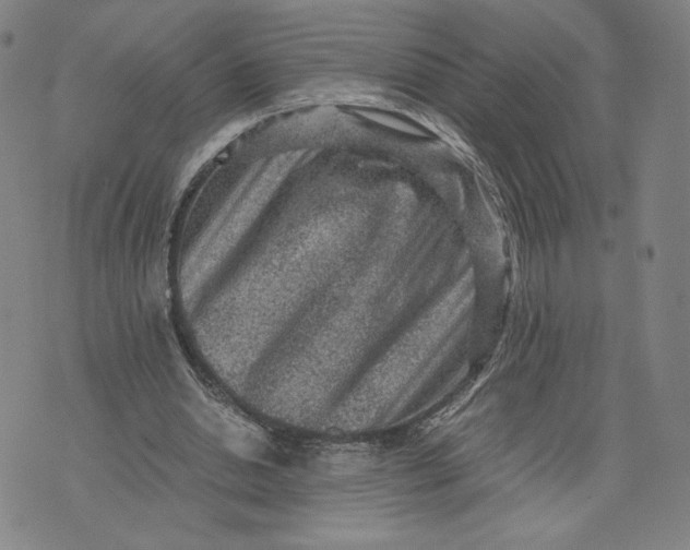 X0000071790438200607211626