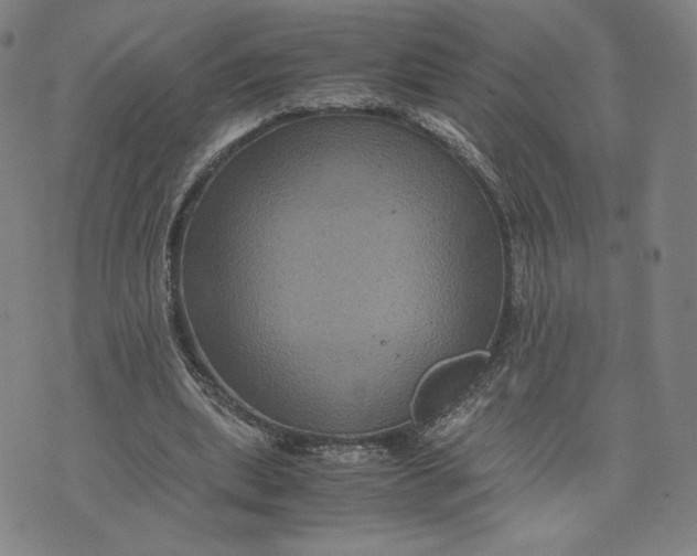 X0000071790439200607211626