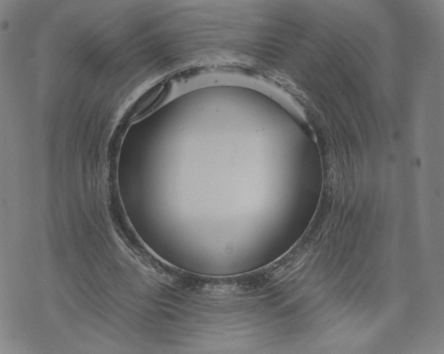 X0000071790440200607211626