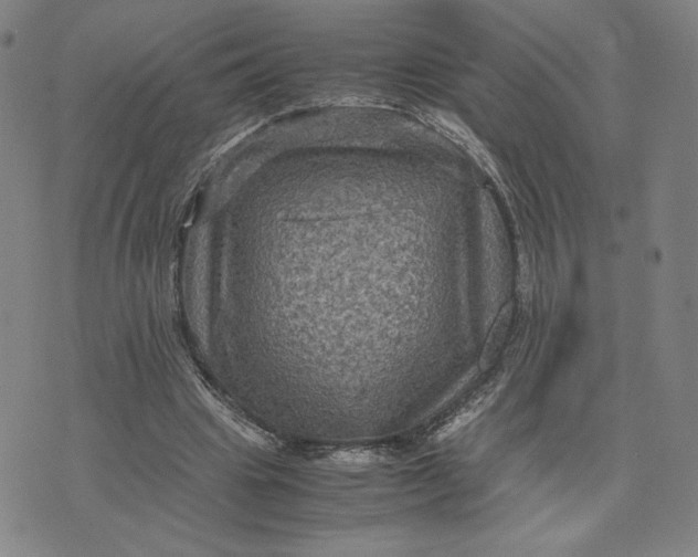 X0000071790441200607211626