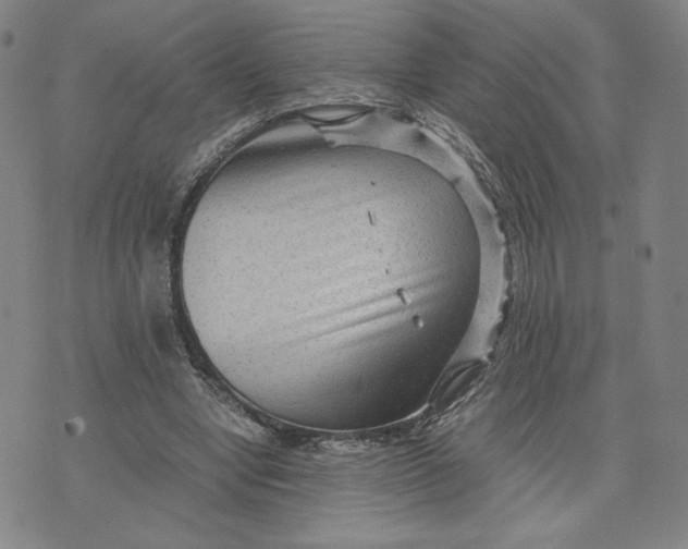 X0000071790442200607211626