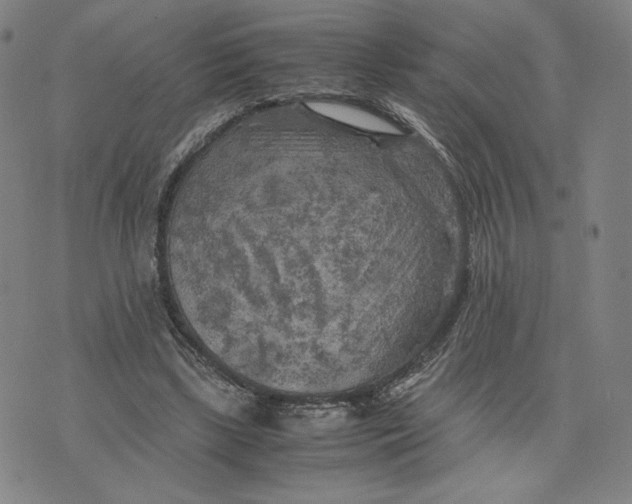 X0000071790443200607211626