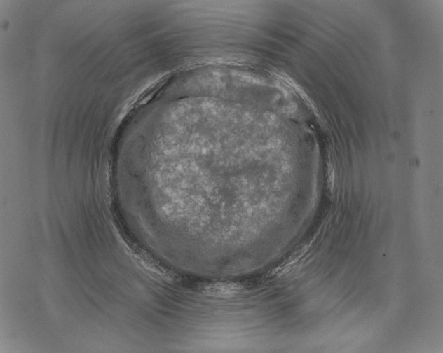 X0000071790444200607211626