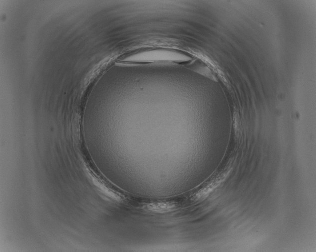 X0000071790445200607211626