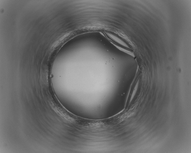 X0000071790446200607211626