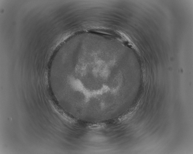 X0000071790447200607211626