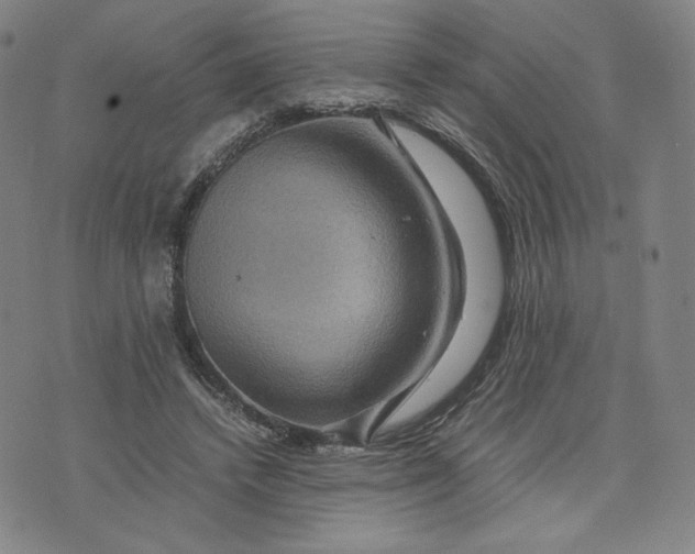 X0000071790448200607211626