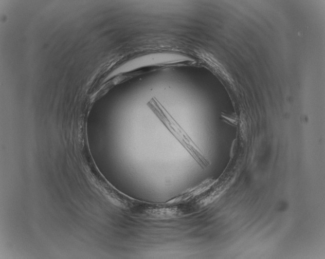 X0000071790449200607211626