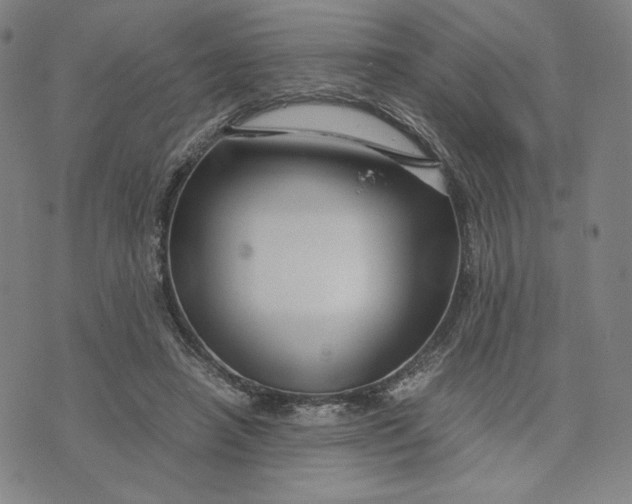 X0000071790450200607211626