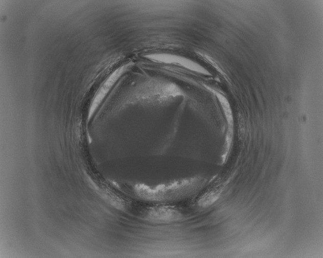 X0000071790451200607211626