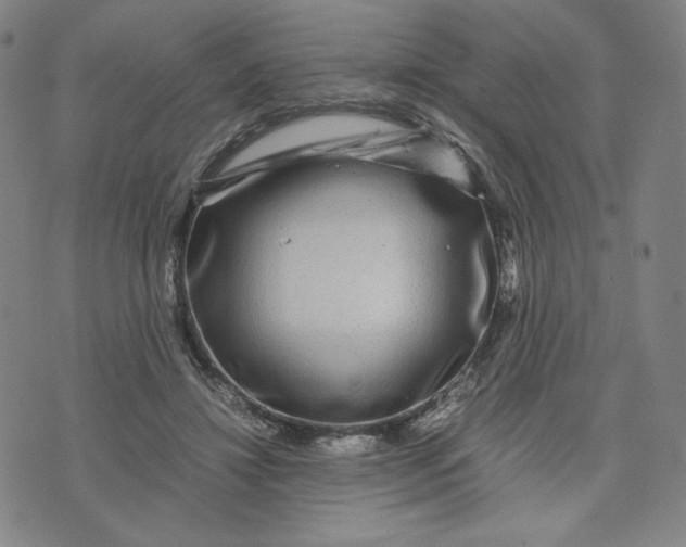 X0000071790452200607211626