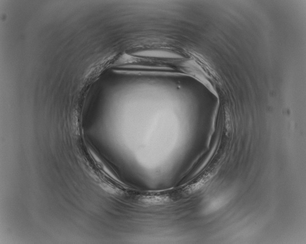 X0000071790453200607211626