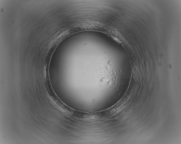 X0000071790454200607211626