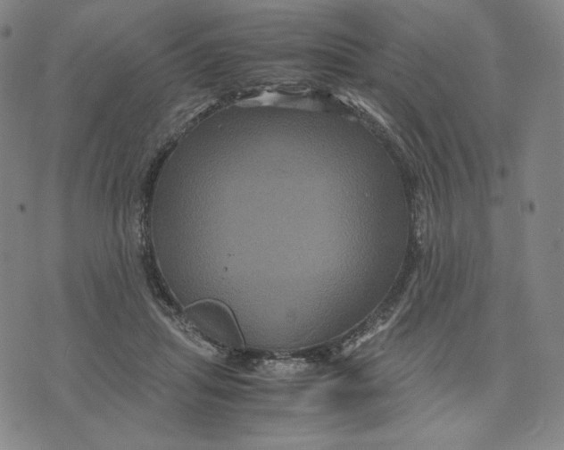 X0000071790455200607211626