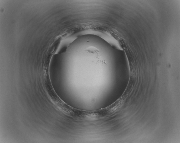 X0000071790456200607211626