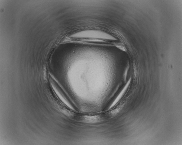 X0000071790457200607211626