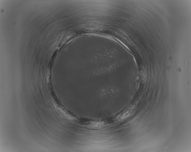 X0000071790458200607211626