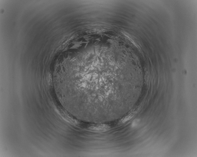 X0000071790459200607211626