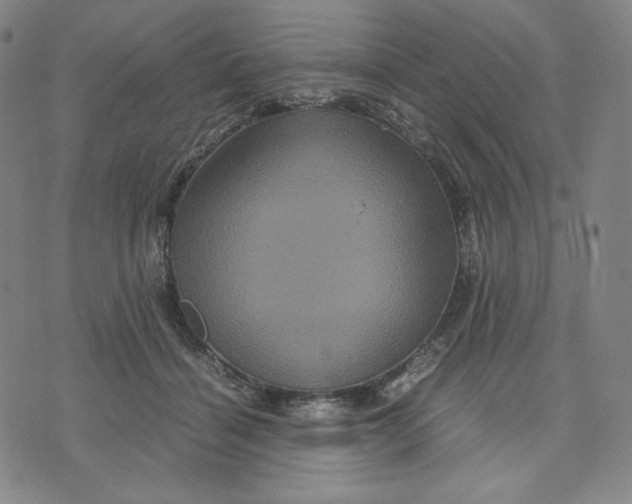 X0000071790460200607211626