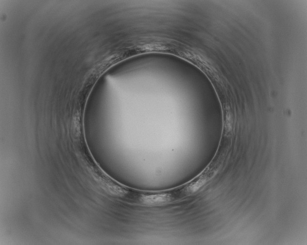 X0000071790461200607211626