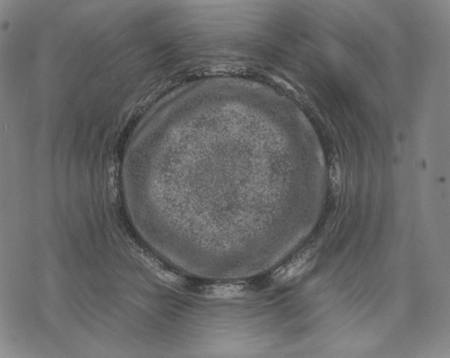 X0000071790462200607211626