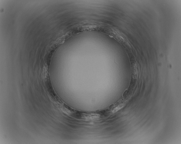 X0000071790463200607211626