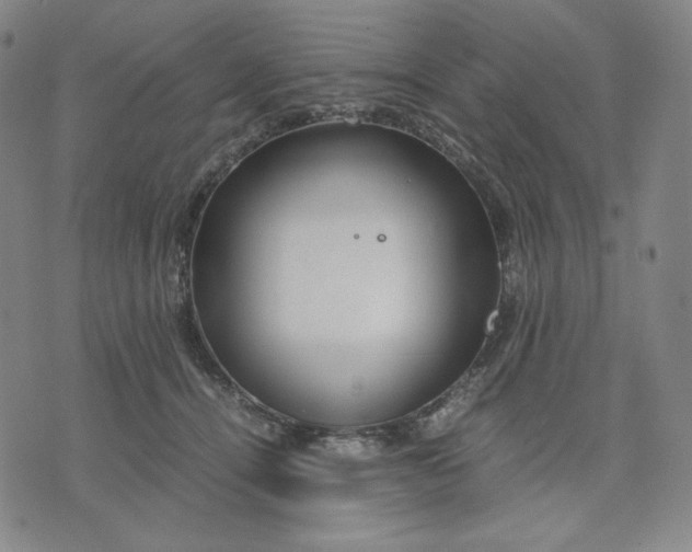 X0000071790464200607211626