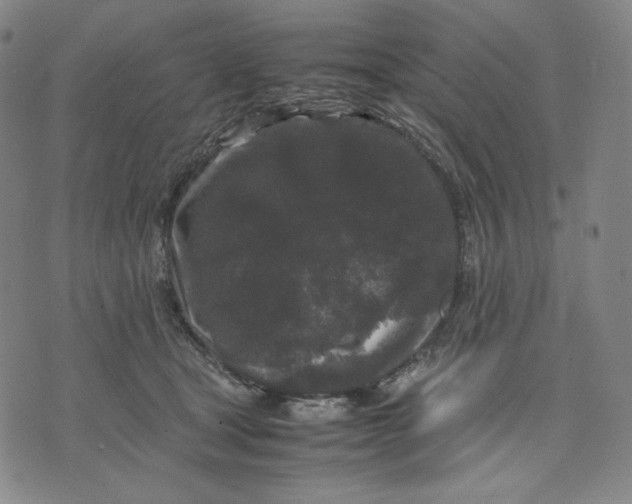 X0000071790465200607211626