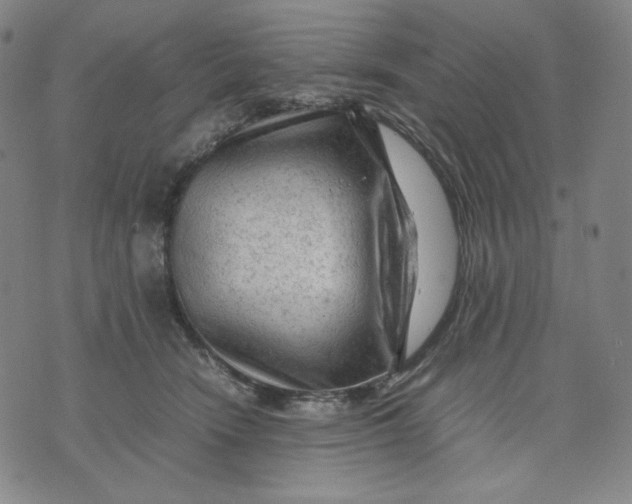 X0000071790466200607211626