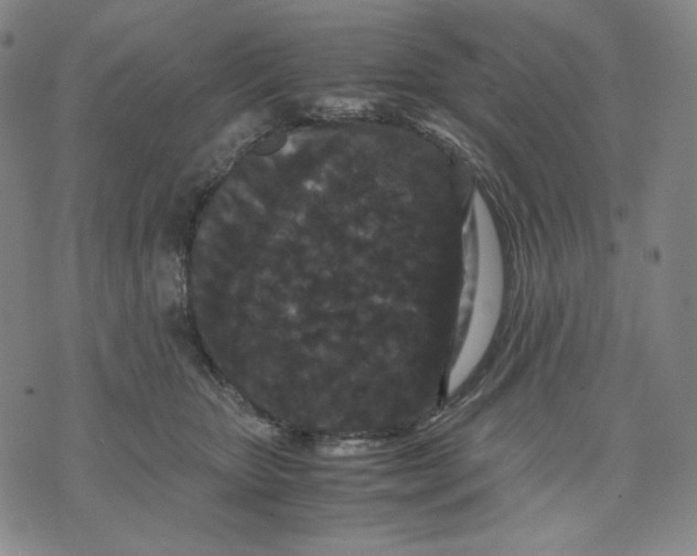 X0000071790467200607211626