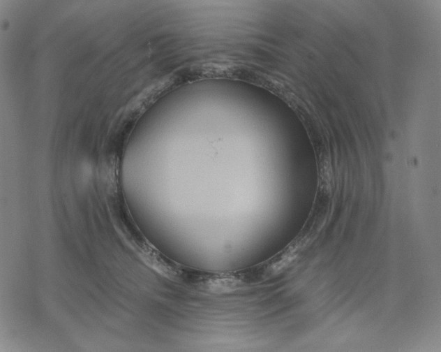 X0000071790468200607211626