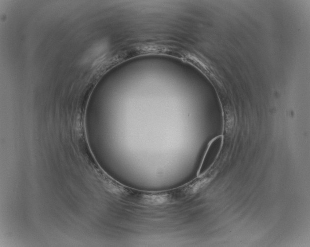 X0000071790469200607211626